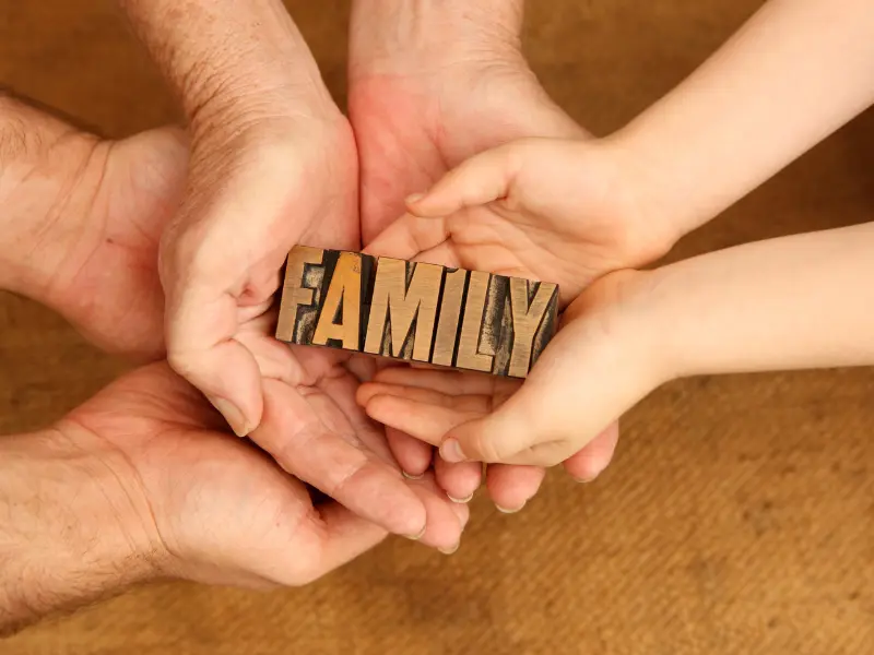 Family Therapy Package